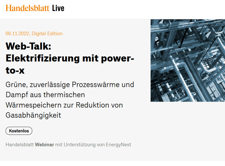 Handelsblatt Webinar Elektrifizierung