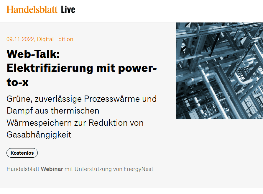 Handelsblatt Webinar Elektrifizierung